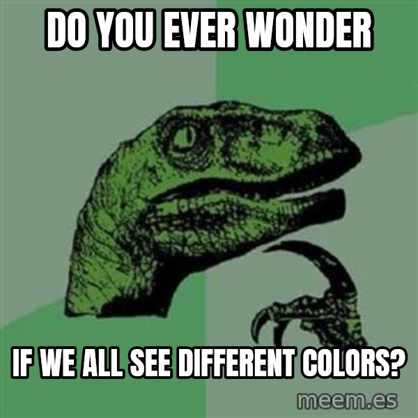 Philosoraptor meme: do you ever wonder / IF WE all SEE DIFFERENT COLORS?