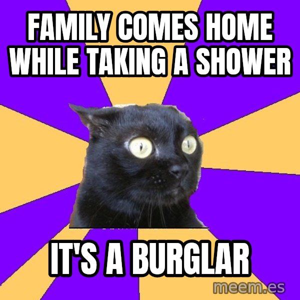 Anxiety Cat meme: family comes home while taking a shower / it's a burglar
