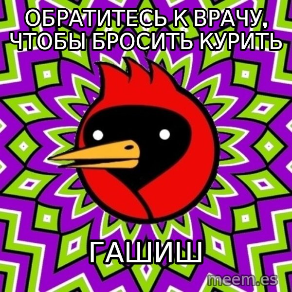 Omsk Crow meme: обратитесь к врачу, чтобы бросить курить / гашиш