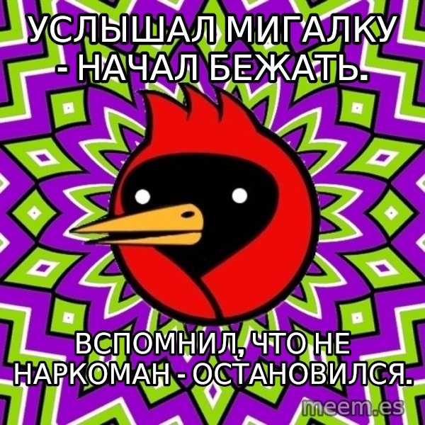 Omsk Crow meme: Услышал мигалку - начал бежать. / Вспомнил, что не наркоман - остановился.