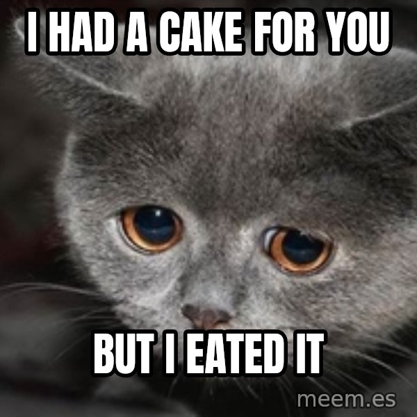 Sadcat meme: I had a caKE FOR YOU / BUT i EATED IT