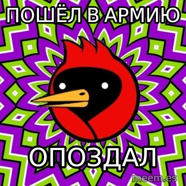 Omsk Crow meme: пошёл в армию / опоздал