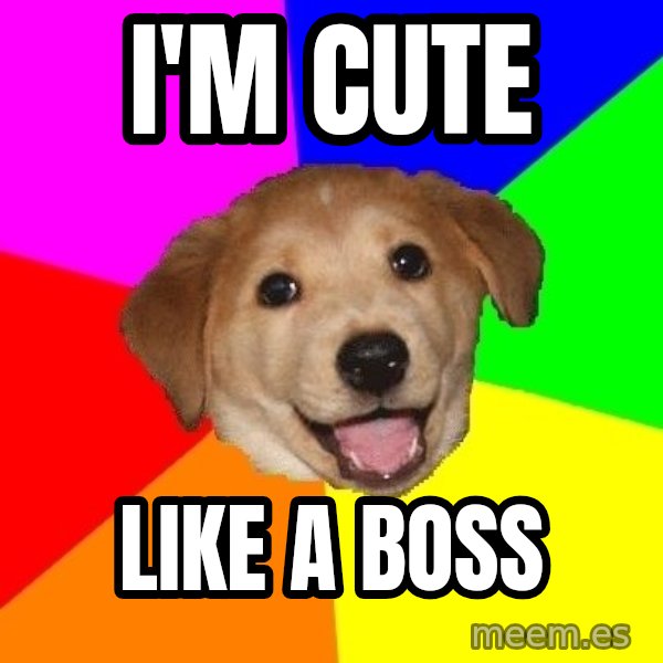 Advice Dog meme: I'm cute / like a boss