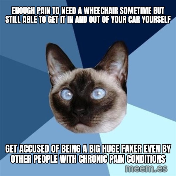 Chronic Illness Cat meme: enough pain to need a wheechair sometime but still able to get it in and out of your car yourself / get accused of being a big huge faker even by other people with chronic pain conditions