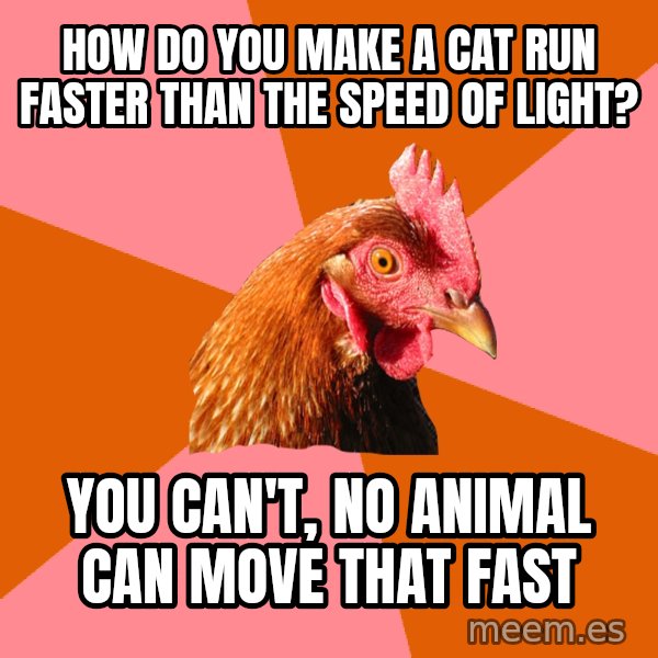 Anti Joke Chicken meme: how do you make a cat run faster than the speed of light? / you can't, no animal can move that fast