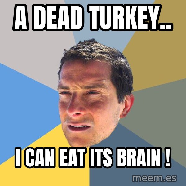 Bear Grylls meme: A dead turkey.. / i can eat its brain !