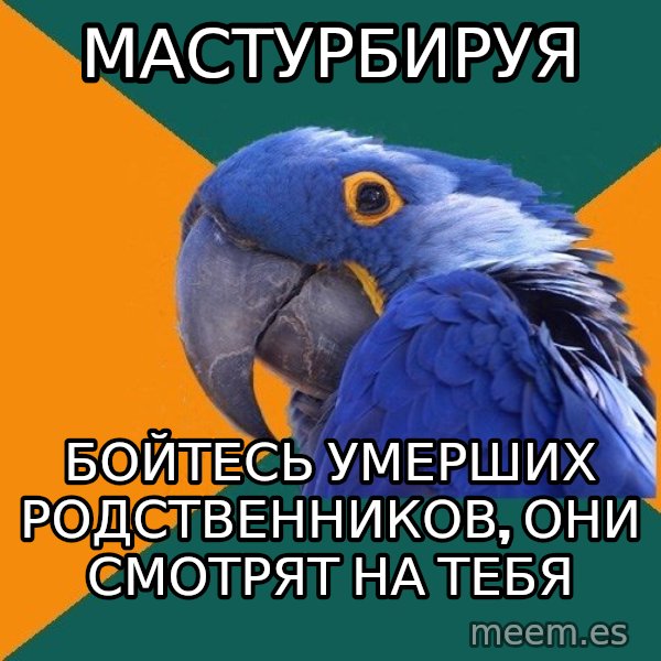 Paranoid Parrot meme: мастурбируя / бойтесь умерших родственников, они смотрят на тебя
