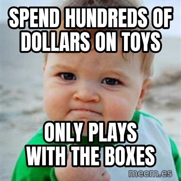Victory Baby meme: Spend hundreds of dollars on toys / Only plays with the boxes