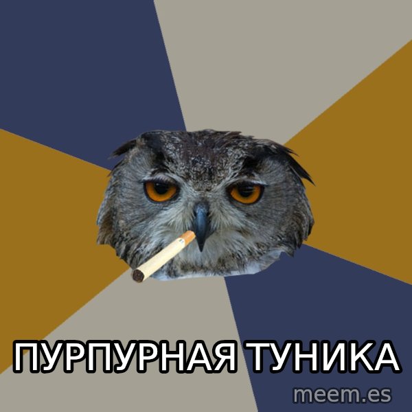 Art Student Owl meme: пурпурная туника