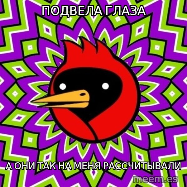 Omsk Crow meme: подвела глаза / а они так на меня рассчитывали