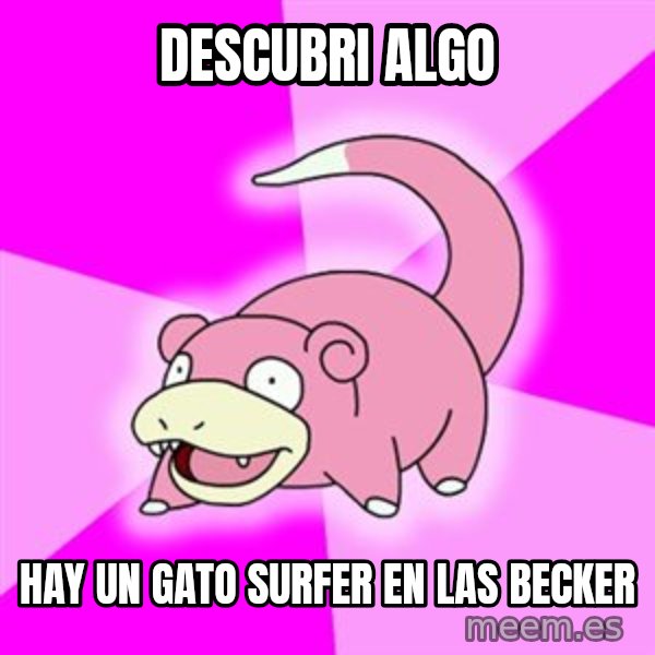 Slowpoke meme: DESCUBRI ALGO / HAY UN GATO SURFER EN LAS BECKER