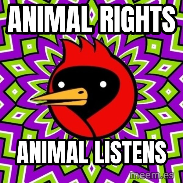 Omsk Crow meme: ANIMAL RIGHTS / ANIMAL LISTENS