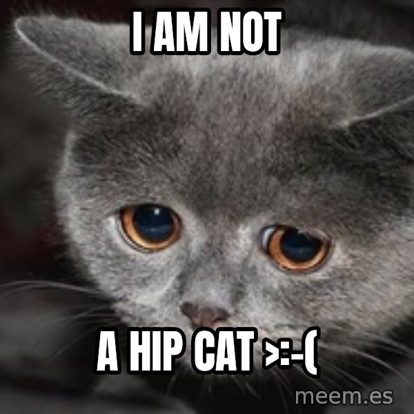 Sadcat meme: I am not / A hip cat >:-(