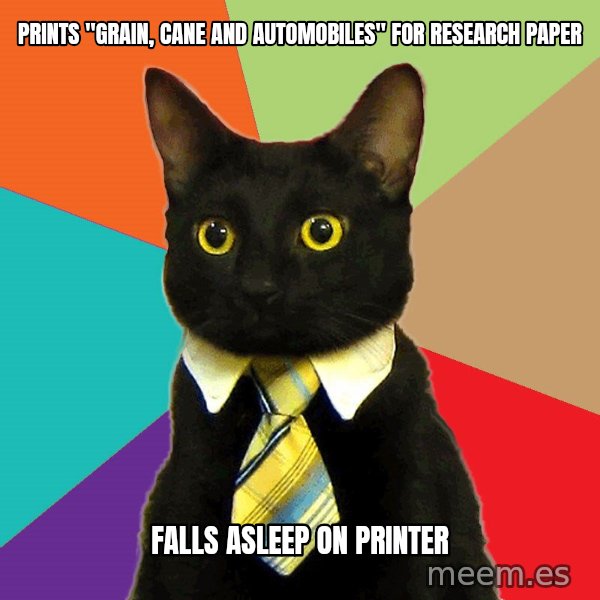 Business Cat meme: Prints "Grain, Cane and Automobiles" for research paper / Falls asleep on printer