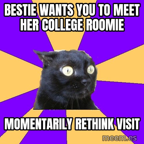 Anxiety Cat meme: bestie wants you to meet her college roomie / momentarily rethink visit