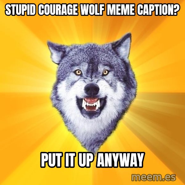 Courage Wolf meme: stupid courage wolf meme caption? / Put it up anyway