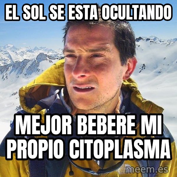 Bear Grylls Loneliness meme: el sol se esta ocultando / mejor bebere mi propio citoplasma