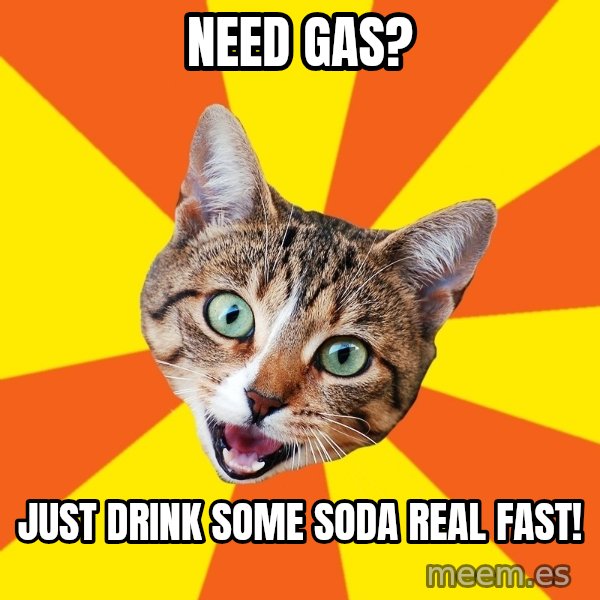 Bad Advice Cat meme: NEED GAS? / JUST DRINK SOME SODA REAL FAST!