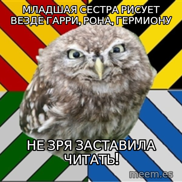 JEALOUS POTTEROMAN meme: младшая сестра рисует везде гарри, рона, гермиону / Не зря заставила читать!