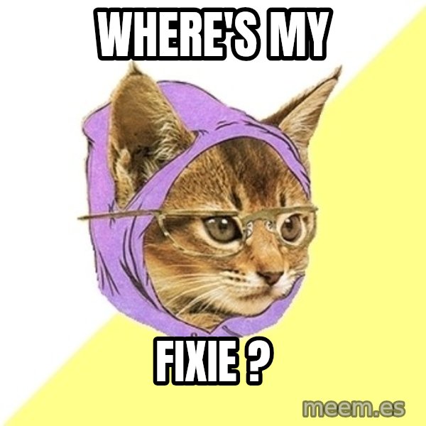 Hipster Kitty meme: Where'S my / FIxie ?