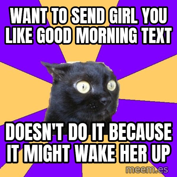 Anxiety Cat meme: Want to send girl you like good morning text / Doesn't do it because it might wake her up