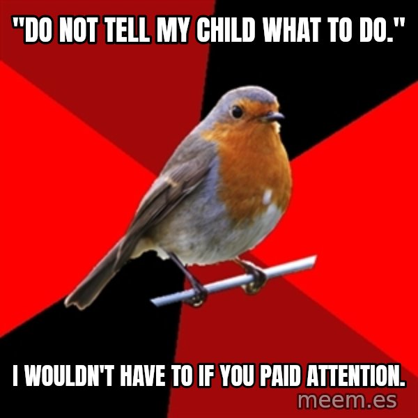 Retail Robin meme: "do not tell my child what to do." / i wouldn't have to if you paid attention.