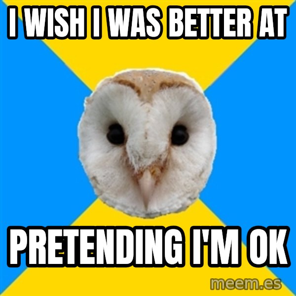 Bipolar Owl meme: I wish I was better at / PRETENDING I'M OK