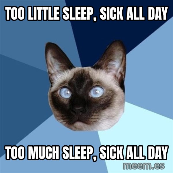 Chronic Illness Cat meme: too Little SLEEP, Sick All Day / Too much Sleep, Sick All day
