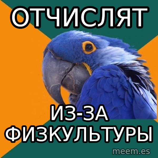 Paranoid Parrot meme: ОТЧИСЛЯТ / ИЗ-ЗА ФИЗКУЛЬТУРЫ