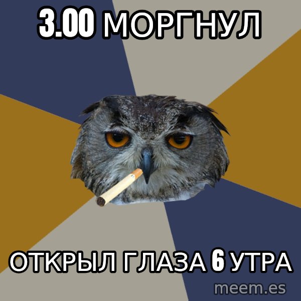Art Student Owl meme: 3.00   моргнул / открыл глаза 6 утра