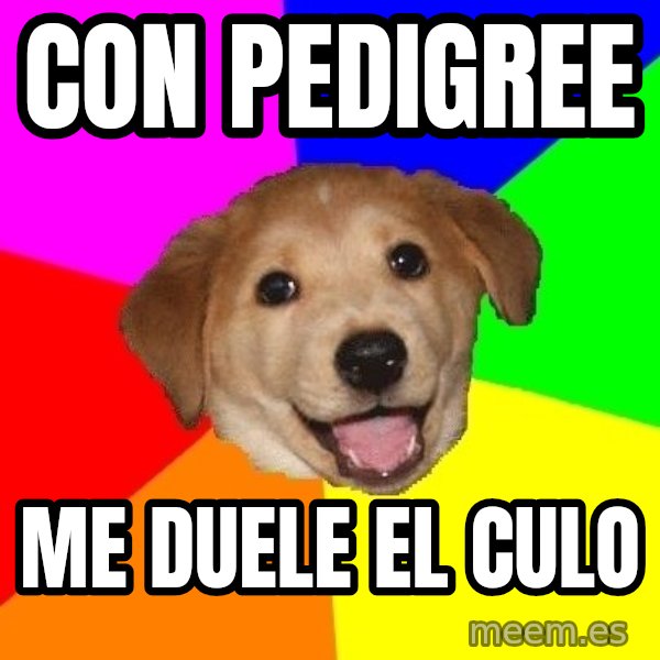 Advice Dog meme: con pedigree / me duele el culo