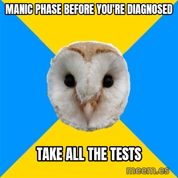 Bipolar Owl meme: Manic phase before you're diagnosed / take all the tests