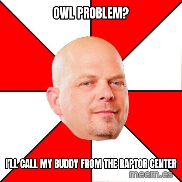 Pawn Stars meme: Owl problem? / i'll call my buddy from the Raptor Center