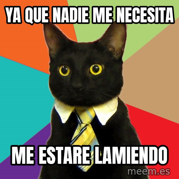 Business Cat meme: ya que nadie me necesita / me estare lamiendo