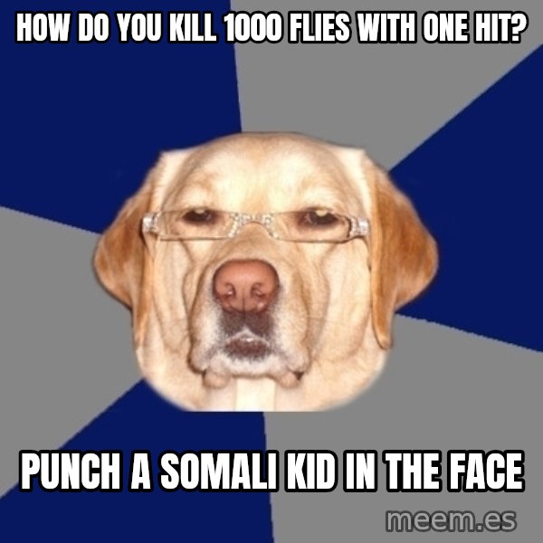 Racist Dog meme: hOW DO YOU KILL 1000 FLIES WITH ONE HIT? / PUNCH A SOMALi kID IN THE FACE