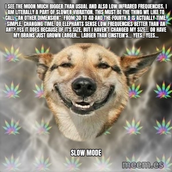 Stoner Dog meme: I see the moon much bigger than usual and also low infrared frequencies. I am literally a part of slower vibration. This must be the thing we like to call "An other dimension". From 3D to 4D and the fourth D is actually time. Simple, changing time. Do elephants sense low frequencies better than an ant? Yes it does because of it's size, but I haven't changed my size... or have my brains just grown larger... larger than einstein's... yees.. yees... / Slow mode