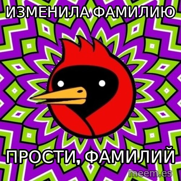 Omsk Crow meme: изменила фамилию / прости, фамилий