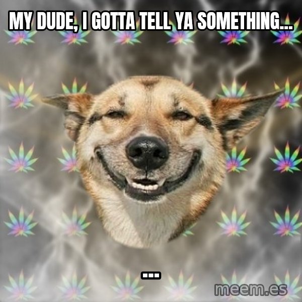 Stoner Dog meme: My dude, I gotta tell ya something... / ...