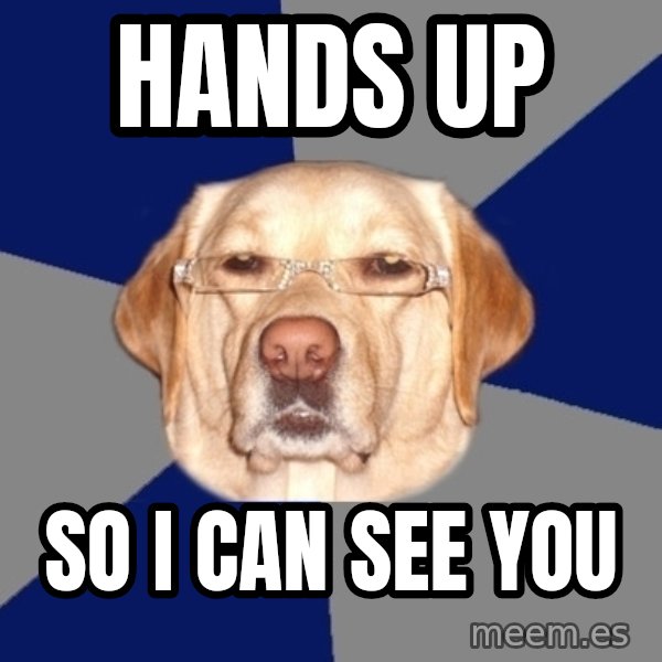 Racist Dog meme: HANDS UP / SO I CAN SEE YOU
