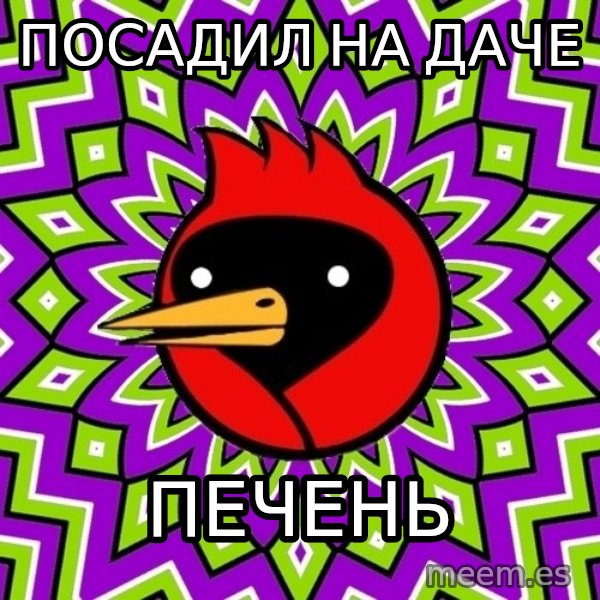 Omsk Crow meme: посадил на даче / печень