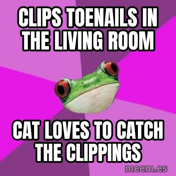 Foul Bachelorette Frog meme: clips toenails in the living room / cat loves to catch the clippings