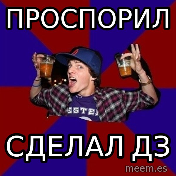 Sunny Student meme: проспорил / сделал дз