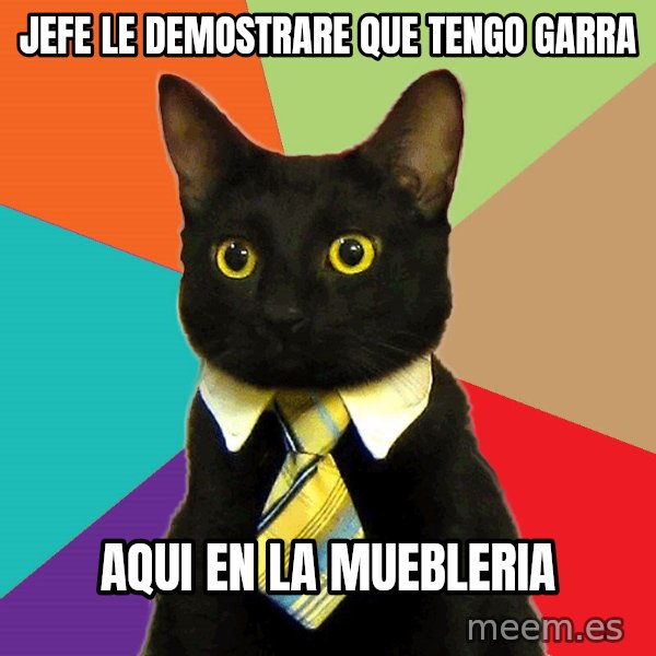 Business Cat meme: jefe le demostrare que tengo garra / aqui en la muebleria