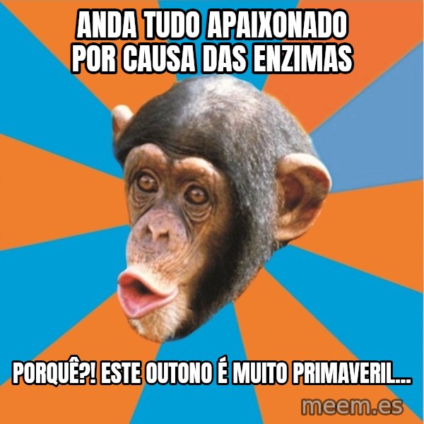 Stupid Monkey meme: anda tudo apaixonado por causa das enzimas / Porquê?! ESTE OUTONO É MUITO PRIMAVERIL...