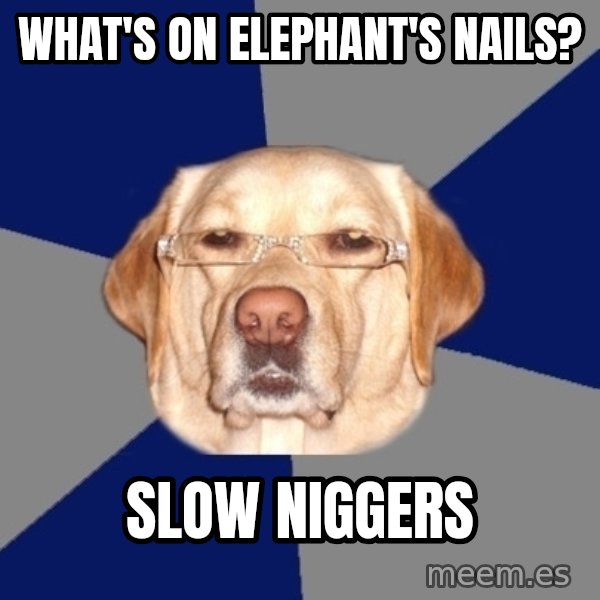 Racist Dog meme: What's on elephant's nails? / Slow niggers