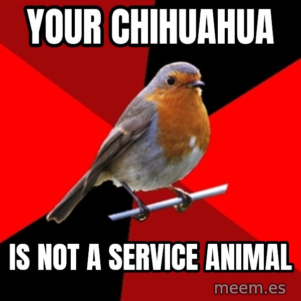 Retail Robin meme: Your chiHuaHua / is not a service animal