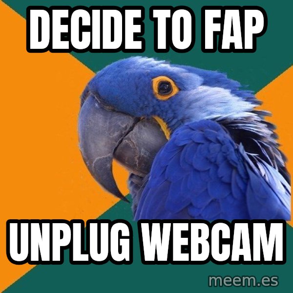 Paranoid Parrot meme: Decide to FAP / UNPLUG WEBCAM
