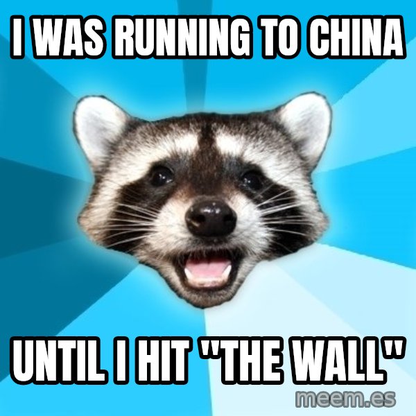 Lame Pun Coon meme: i was running to china / until i hit "the wall"