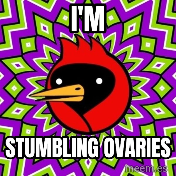 Omsk Crow meme: I'm / stumbling ovaries