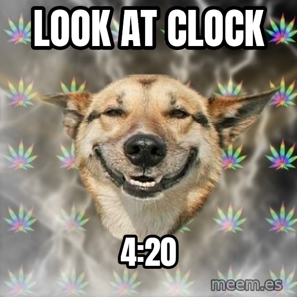Stoner Dog meme: Look at clock / 4:20